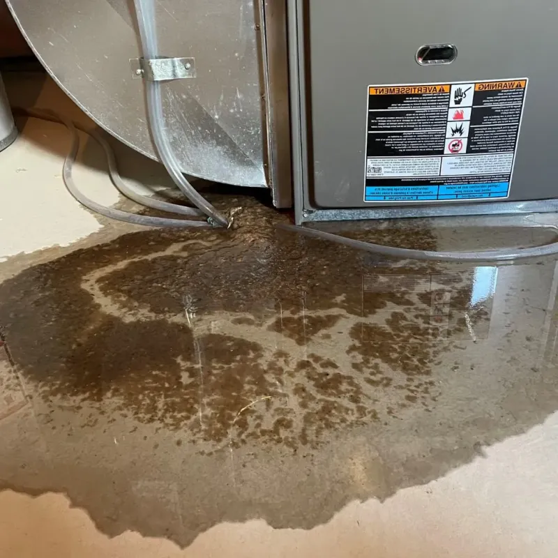 Pipe Burst and Leak Restoration in Narrows, VA