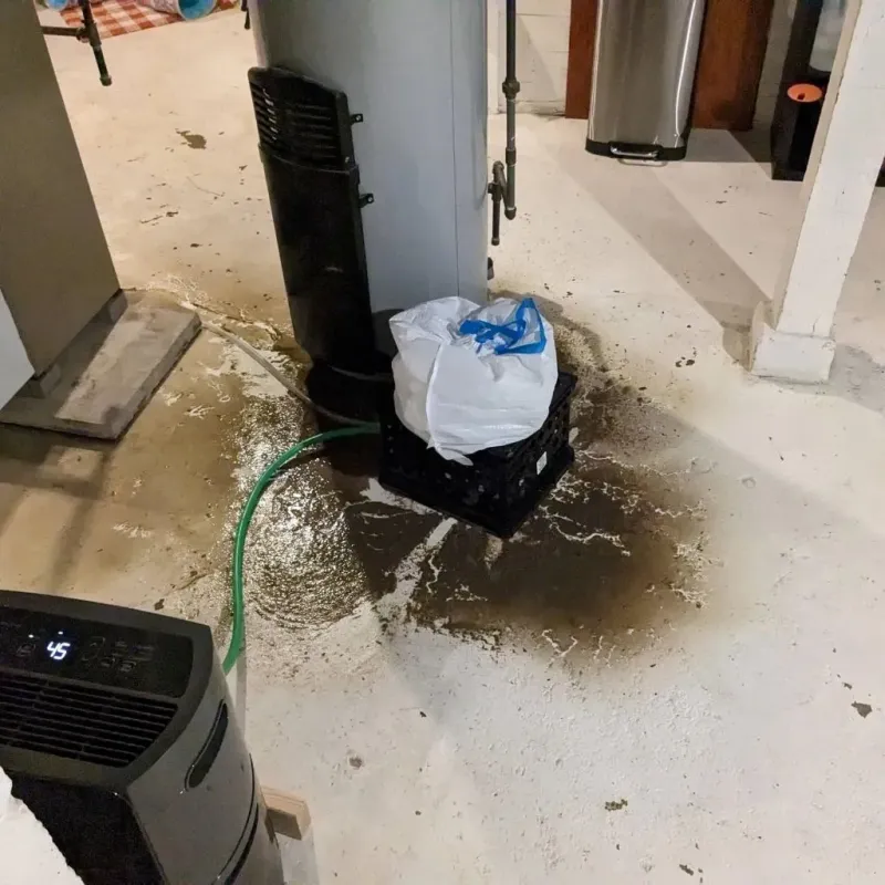 Sewage Backup Cleanup Service in Narrows, VA